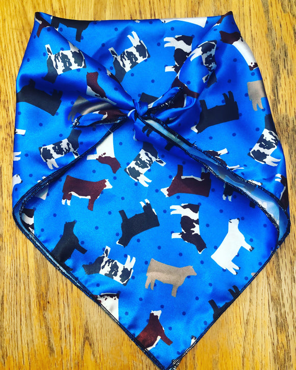 Mixed Steer Breeds on Blue Toddler